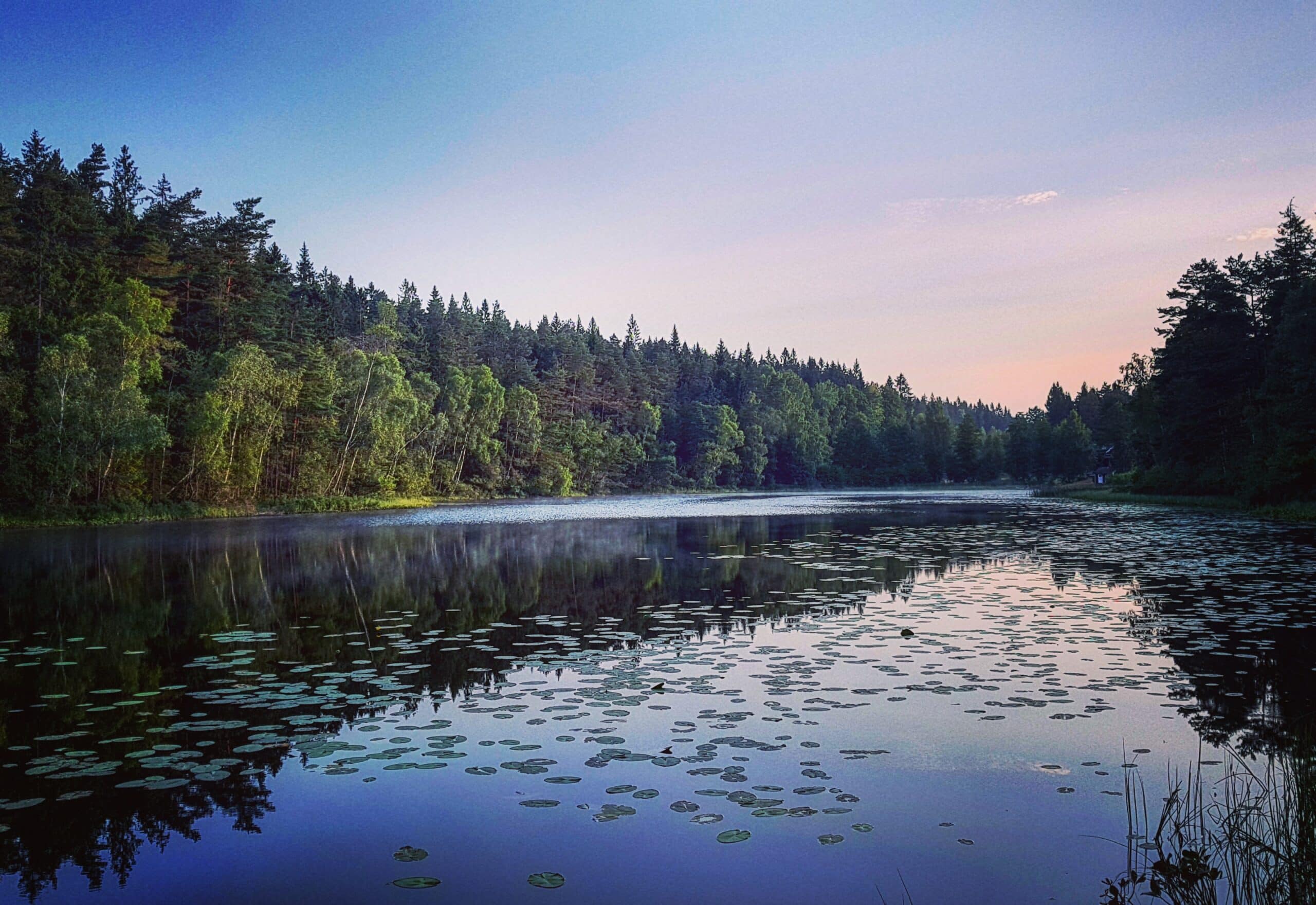 Utsikt över svensk natur under en friluftstur