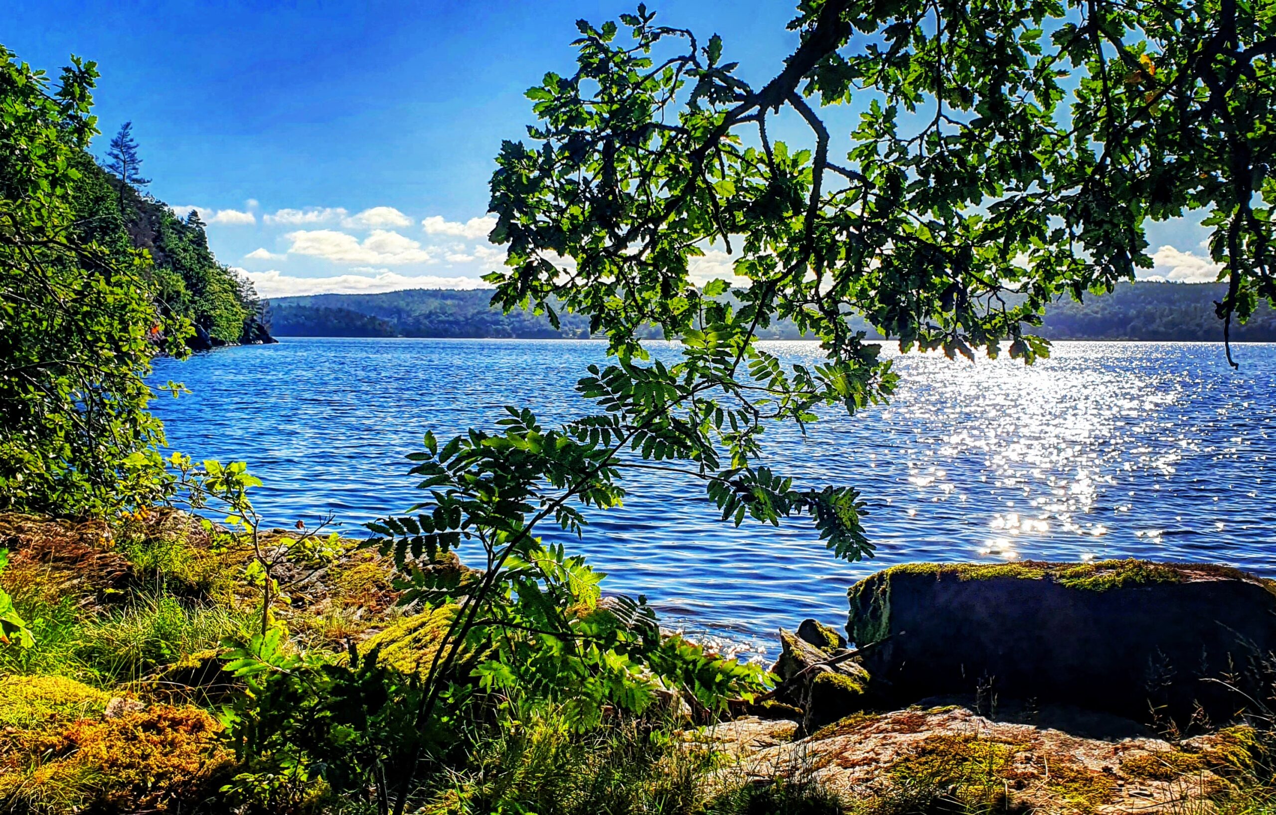 Svensk natur där allemansrätten gör det möjligt att röra sig fritt med hänsyn