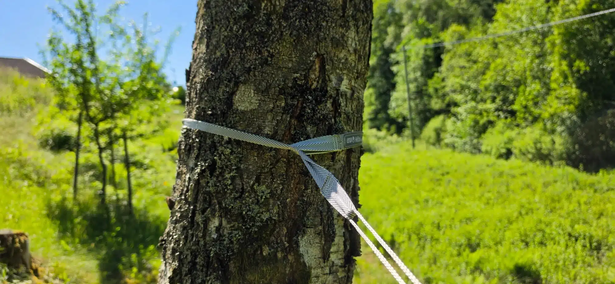 ENO Helios XL trädrem monterad runt ett träd för Haven Tent